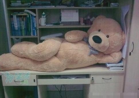Bạn gấu này chiếm hết diện tích học bài rồi.